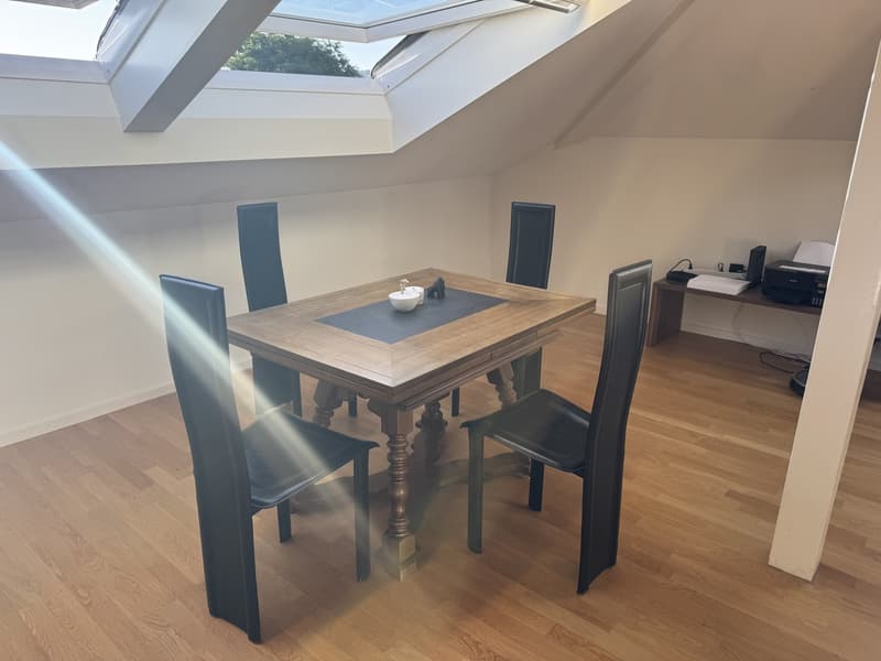 Dachwohnung (mit AC!) (11)