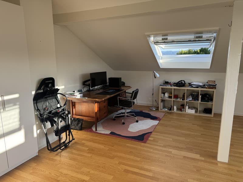 Dachwohnung (mit AC!) (3)