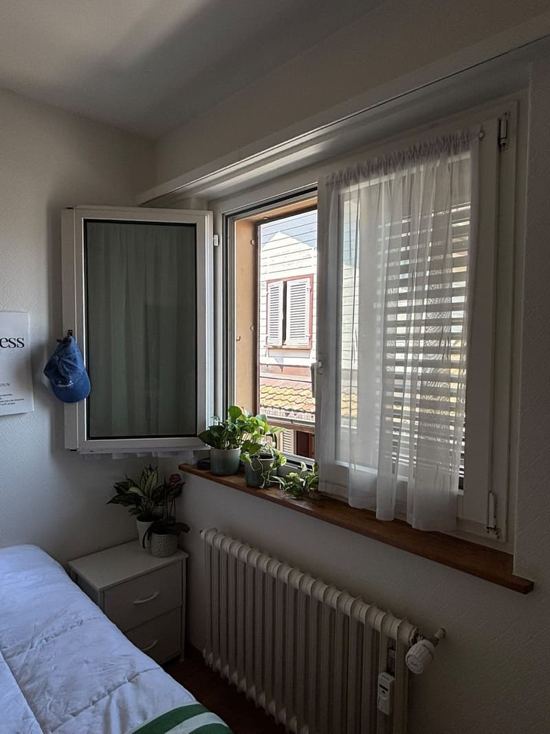 Room in shared apartment with rooftop terrace (3)