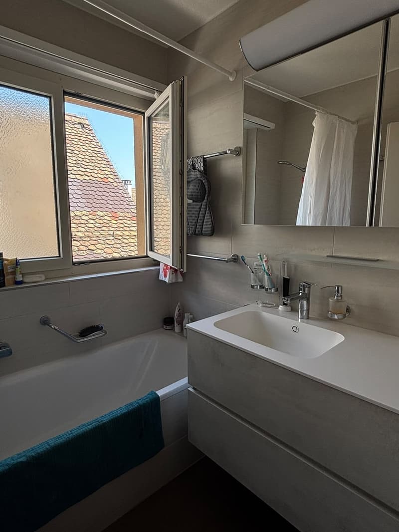 Room in shared apartment with rooftop terrace (10)