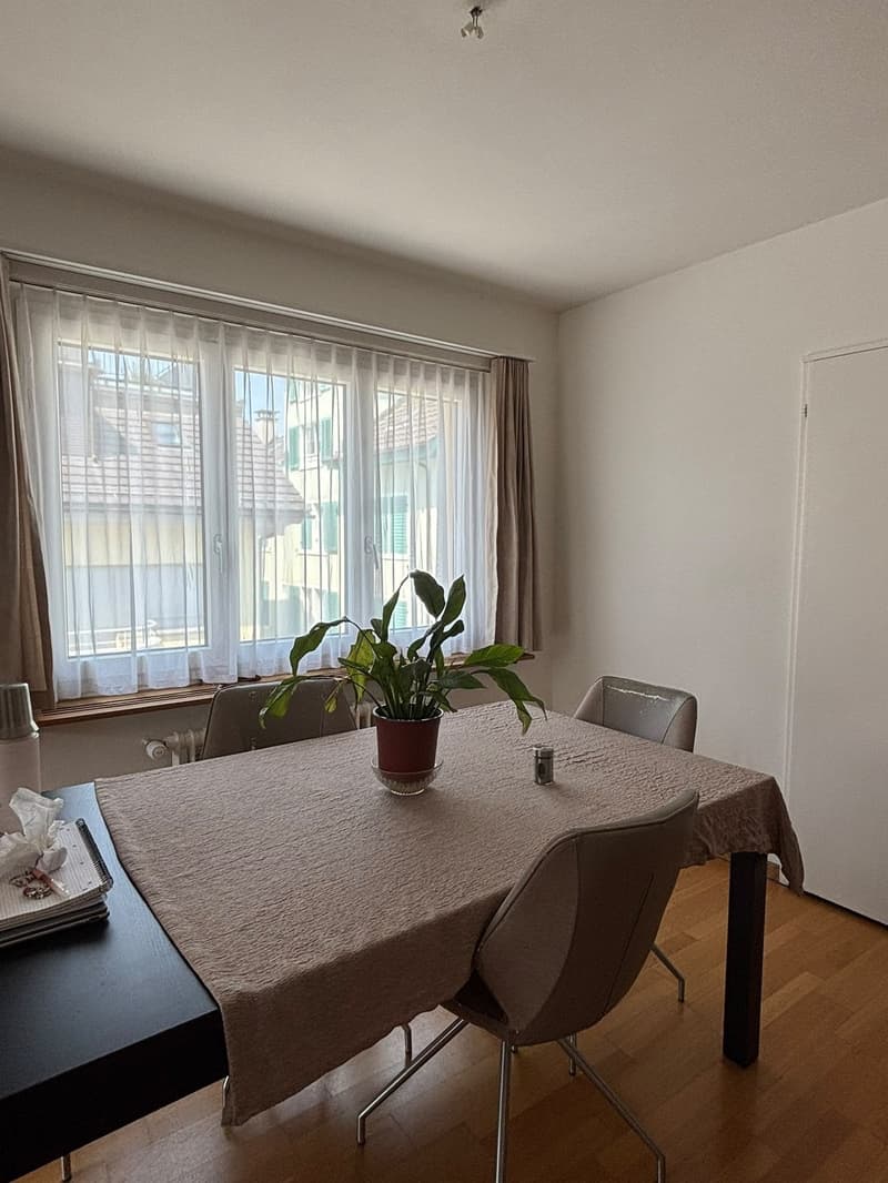 Room in shared apartment with rooftop terrace (7)