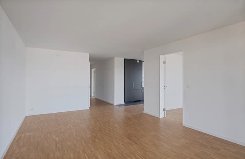 Room in a shared apartment in Schlieren for rent (1)
