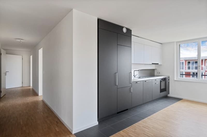 Room in a shared apartment in Schlieren for rent (7)