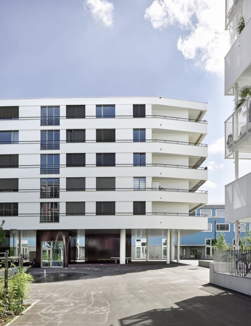 Room in a shared apartment in Schlieren for rent (9)