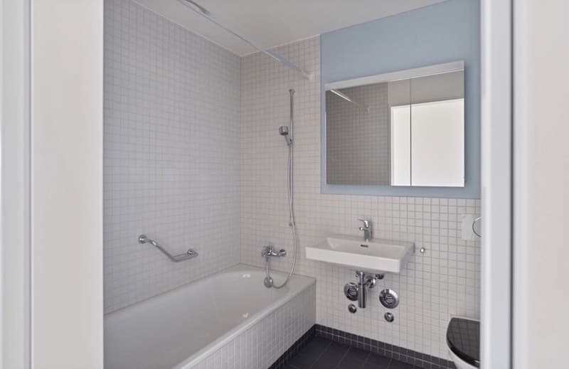 Room in a shared apartment in Schlieren for rent (8)