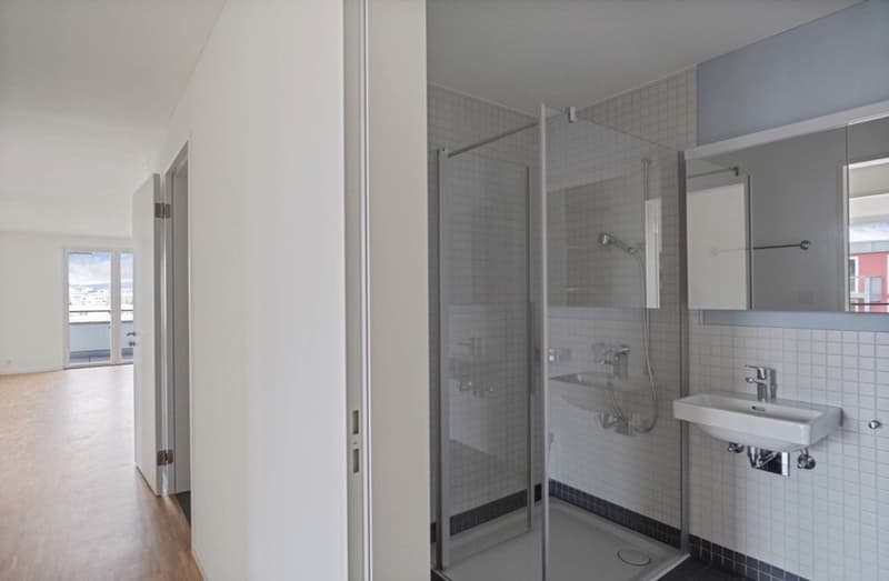 Room in a shared apartment in Schlieren for rent (6)