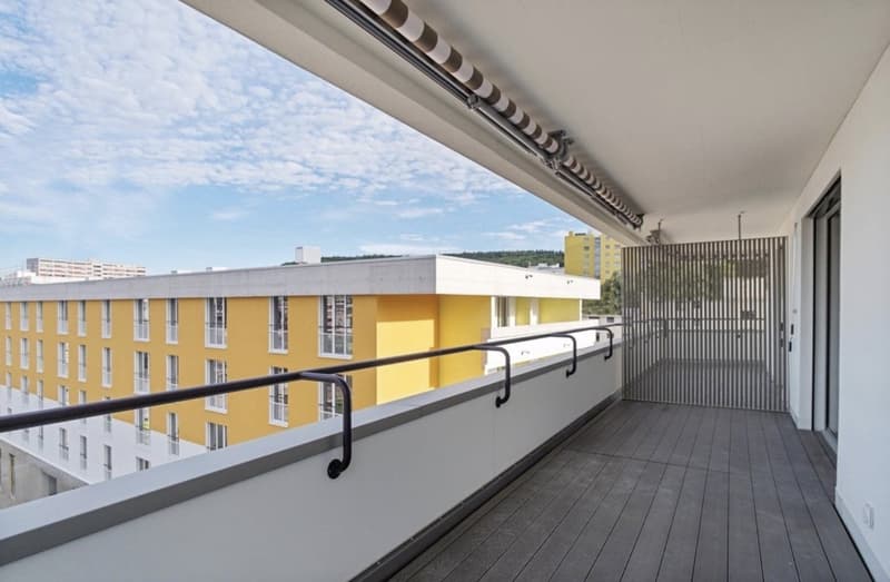 Room in a shared apartment in Schlieren for rent (5)