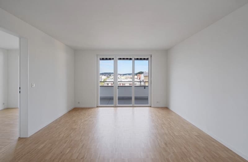 Room in a shared apartment in Schlieren for rent (4)
