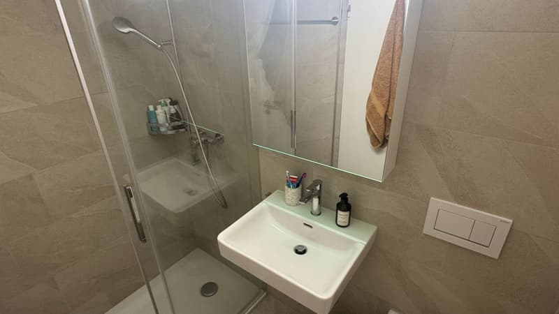 2,5-Zimmer-Wohnung in Zürich Oerlikon (9)