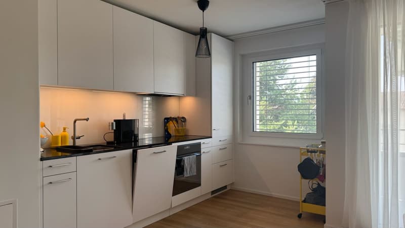 2,5-Zimmer-Wohnung in Zürich Oerlikon (2)