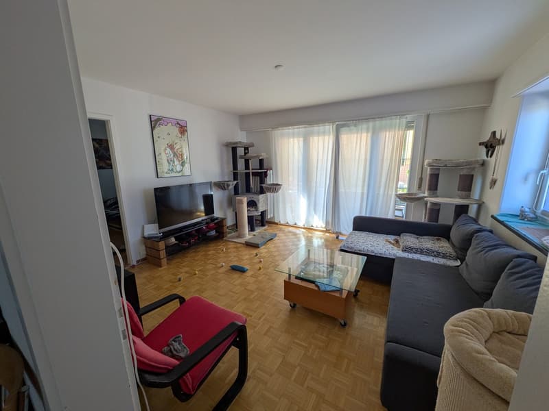 Gemütliche 2.5-Zimmer-Wohnung mit super Standort (1)