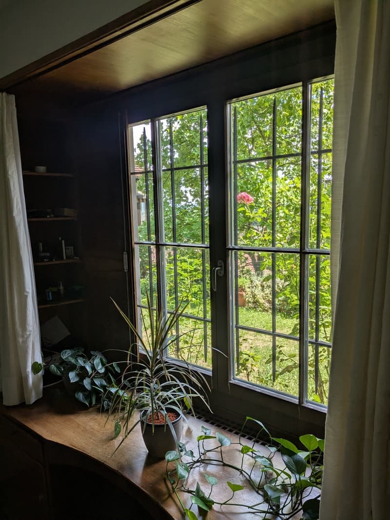 Your Room (Window)