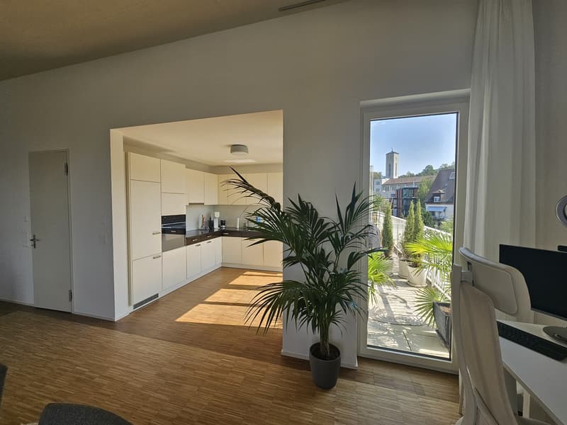 Appartement attique exclusif de 2,5 pièces avec vue sur le lac et les montagnes à Zurich (3)
