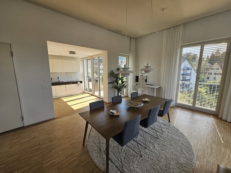 Appartement attique exclusif de 2,5 pièces avec vue sur le lac et les montagnes à Zurich (1)