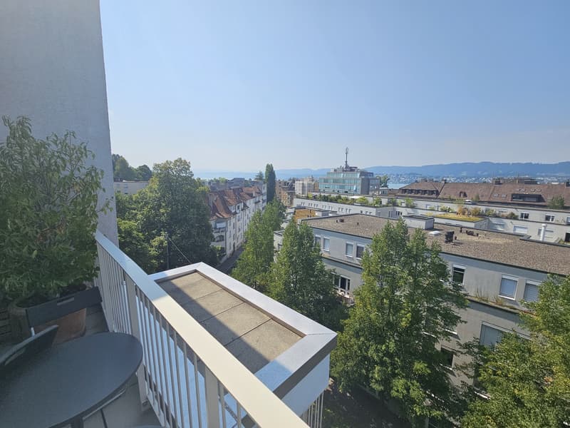 Appartement attique exclusif de 2,5 pièces avec vue sur le lac et les montagnes à Zurich (9)