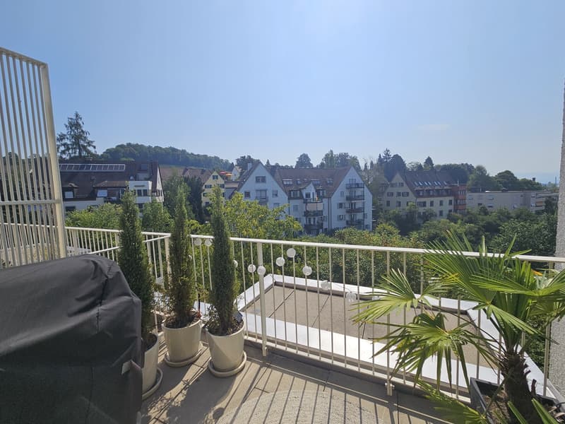 Appartement attique exclusif de 2,5 pièces avec vue sur le lac et les montagnes à Zurich (4)