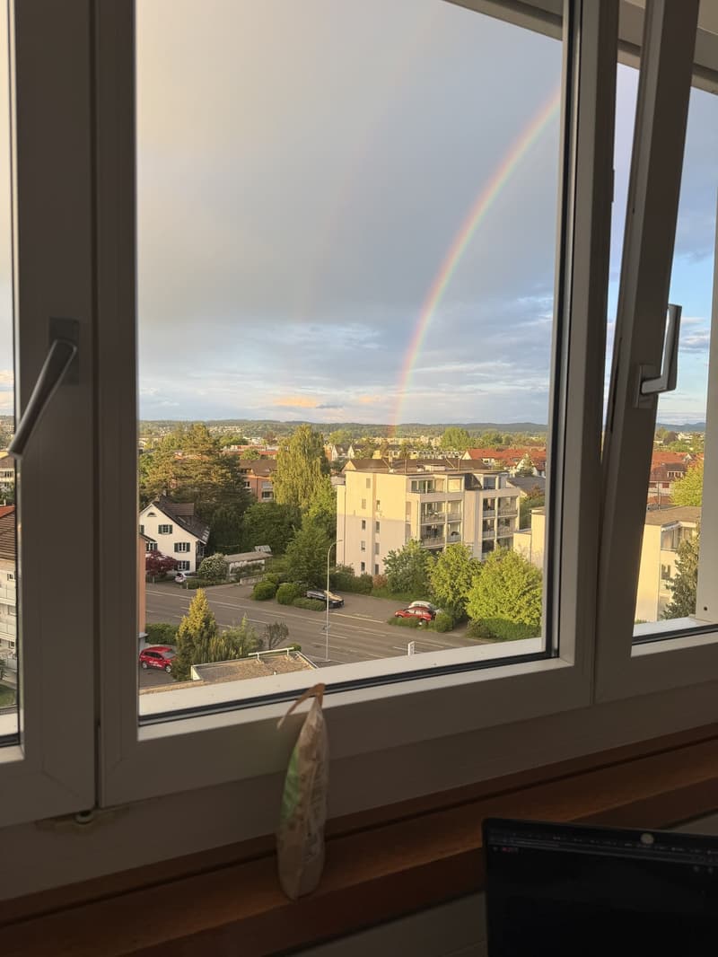 Chambre dans un appartement spacieux avec grand balcon (2)