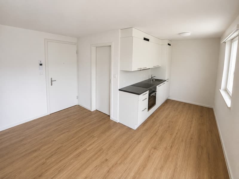Helle, moderne 2.5-Zimmer Wohnung an ruhiger Lage (1)