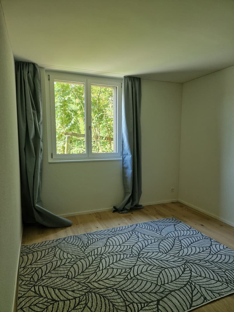 3.5 Zi-Wohnung mit Sitzplatz in Veltheim (5)