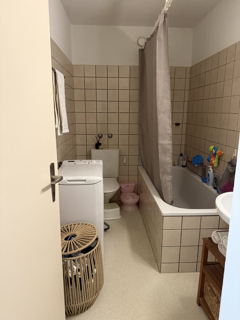 2,5 Zimmerwohnung Brüttisellen (3)