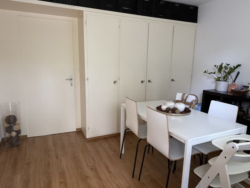 2,5 Zimmerwohnung Brüttisellen (4)