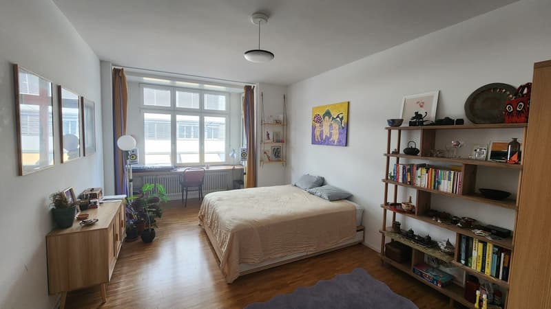 Chambre ensoleillée dans un appartement partagé (disponible du 30.08 au 27.09.2026) (6)