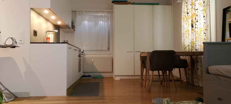 Appartamento di 2 1/2 locali dal 1 novembre (5)