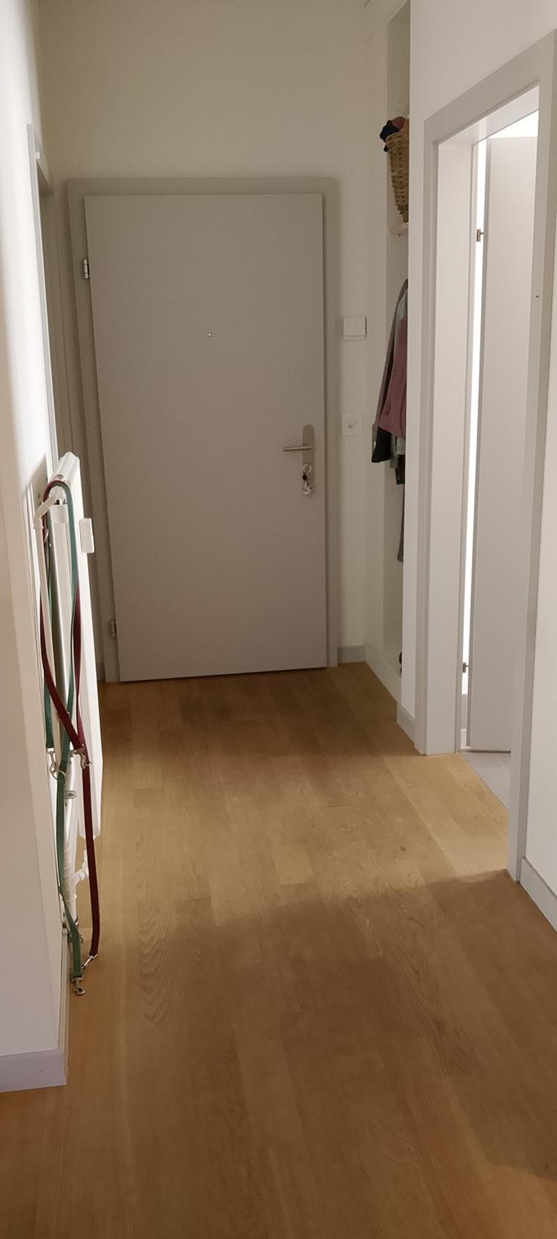 Appartamento di 2 1/2 locali dal 1 novembre (8)
