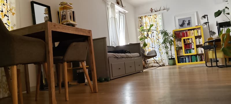 Appartamento di 2 1/2 locali dal 1 novembre (2)