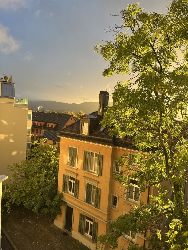 Bel appartement au-dessus des toits de Zurich (7)