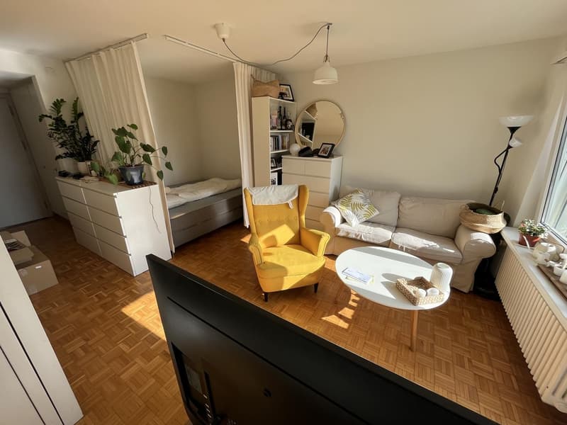 Bel appartement au-dessus des toits de Zurich (1)