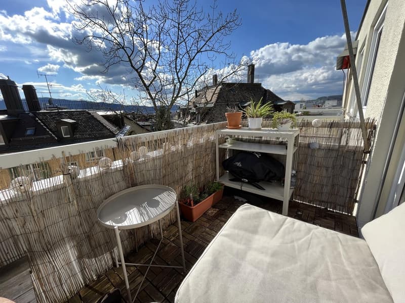 Bel appartement au-dessus des toits de Zurich (6)