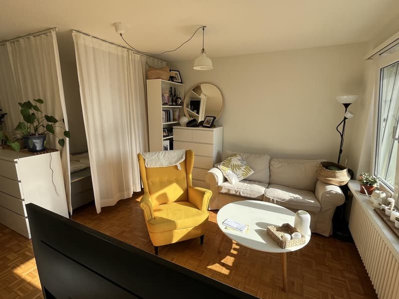 Bel appartement au-dessus des toits de Zurich (4)