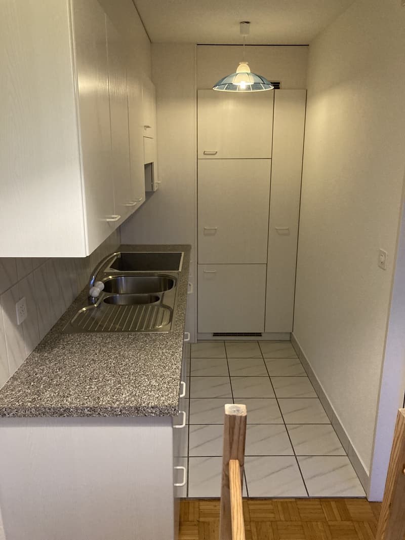 Bel appartement au-dessus des toits de Zurich (3)