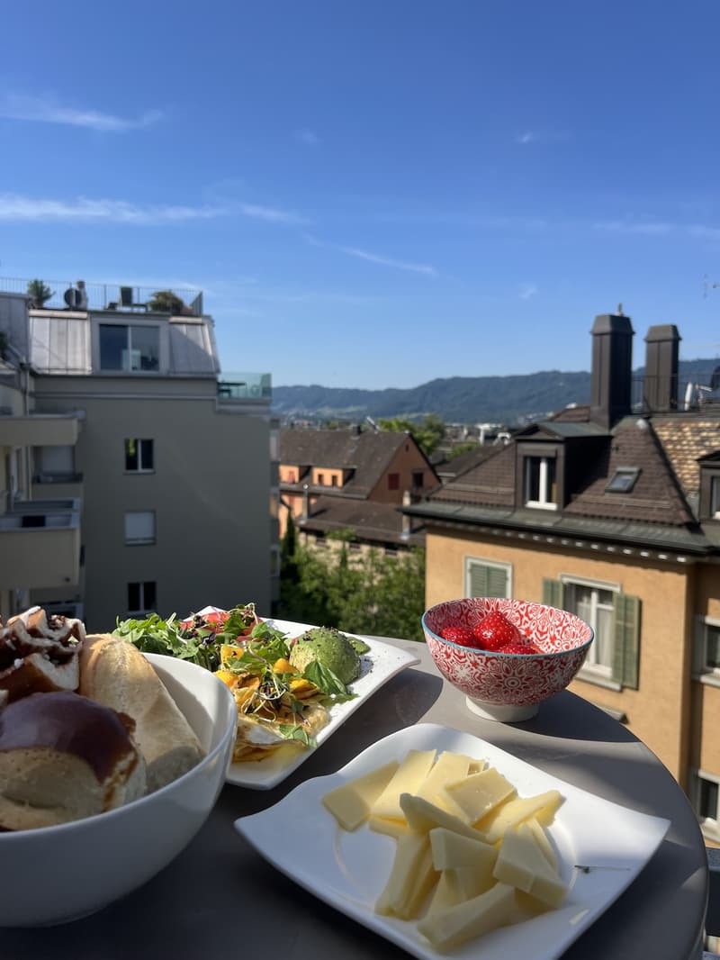 Bel appartement au-dessus des toits de Zurich (2)
