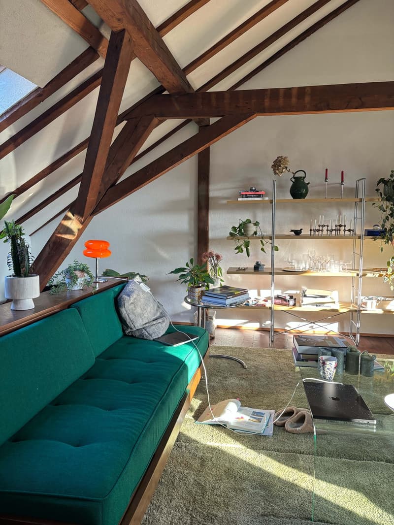 WG-Zimmer in großer Dachgeschosswohnung bis Ende Oktober (5)