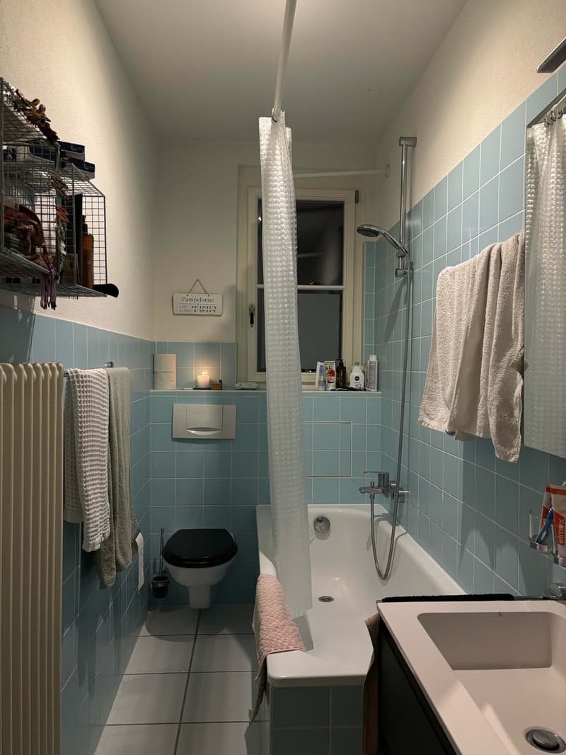 WG-Zimmer in großer Dachgeschosswohnung bis Ende Oktober (4)