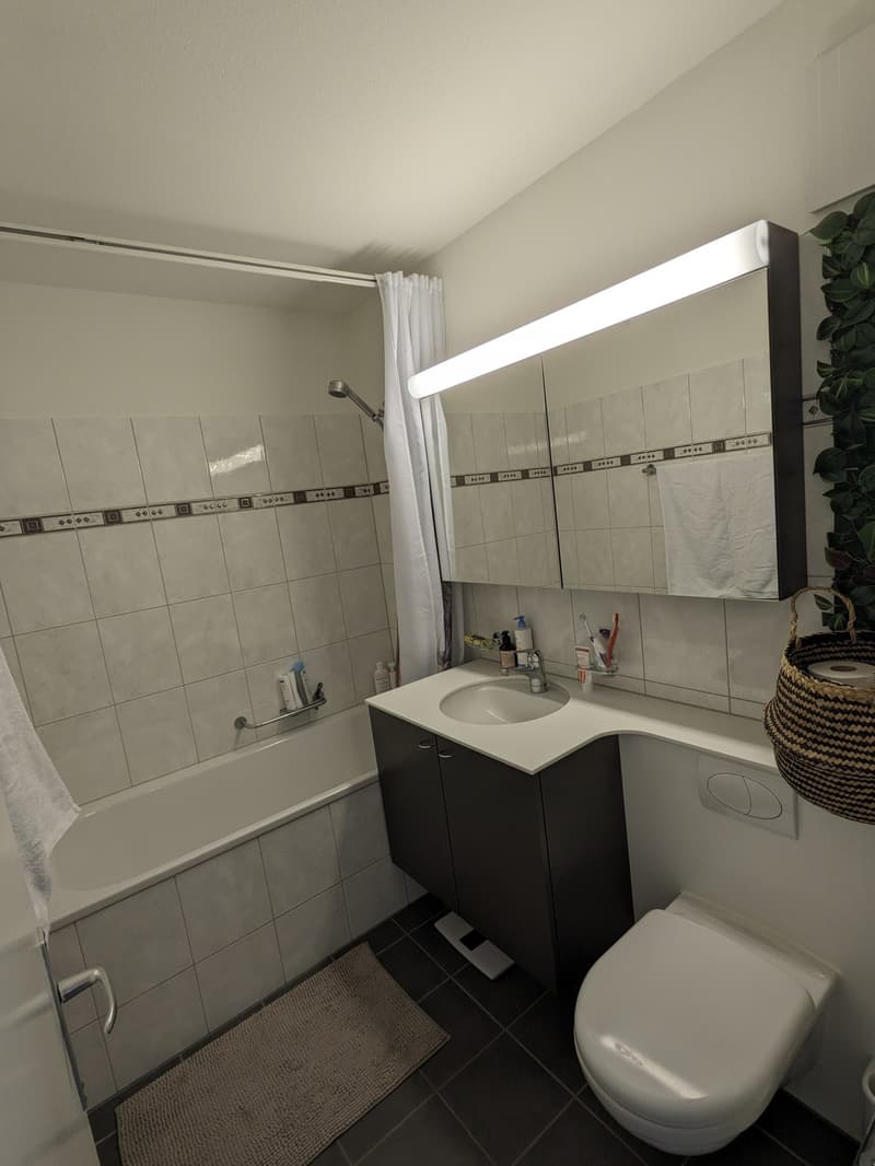 2.5 Zimmer Wohnung in Ebmatingen ab Oktober zu vermieten (9)