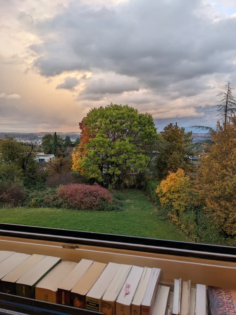 2.5 Zimmer Wohnung in Ebmatingen ab Oktober zu vermieten (11)