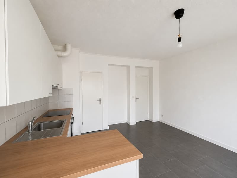Studio mit Balkon und Seeblick, Lausanne Zentrum (3)