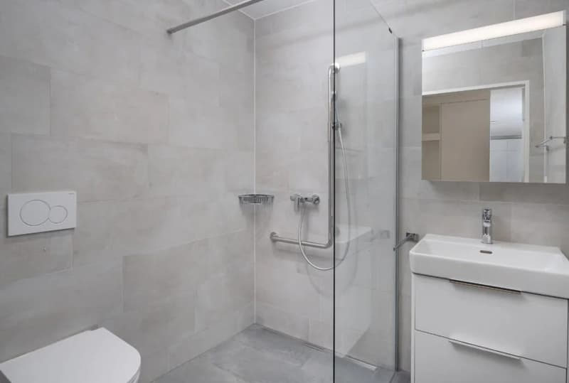 Subtenant wanted! Modern 2.5-room apartment on the ground floor in Wohlen AG (2)
