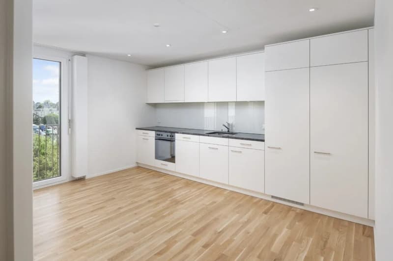 Subtenant wanted! Modern 2.5-room apartment on the ground floor in Wohlen AG (1)