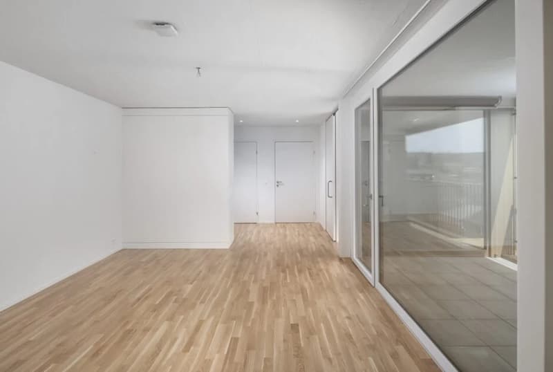 Subtenant wanted! Modern 2.5-room apartment on the ground floor in Wohlen AG (5)