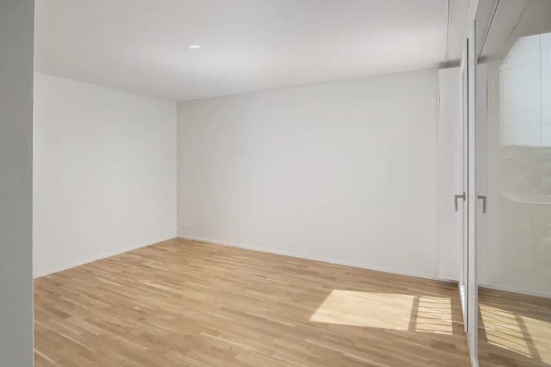 Subtenant wanted! Modern 2.5-room apartment on the ground floor in Wohlen AG (4)