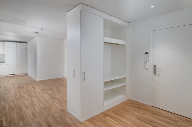 Subtenant wanted! Modern 2.5-room apartment on the ground floor in Wohlen AG (3)