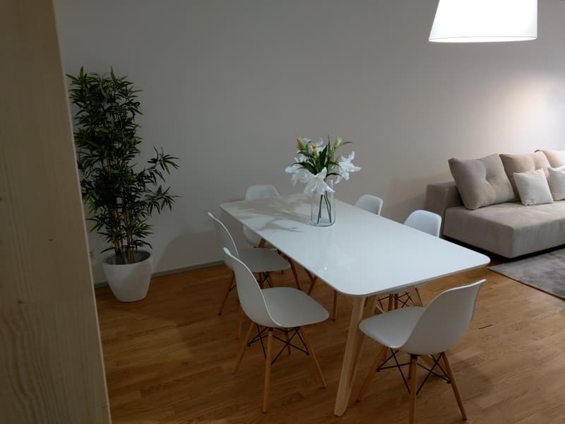 Appartamento moderno 3.5 locali al 5° piano a Sulzerallee (dal 01.10.26) (7)