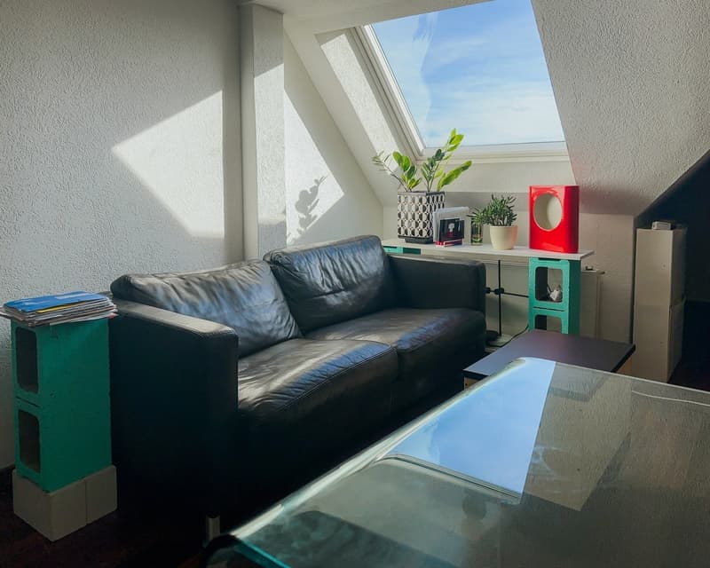 Appartement 3 pièces à Lochergut avec toit-terrasse privée (7)