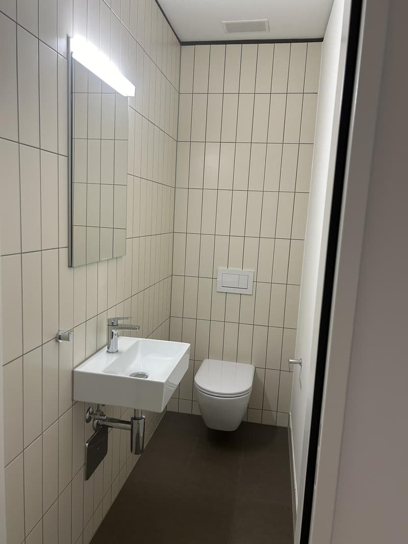 Recherche de locataire pour notre beau 3.5 pièces (7)