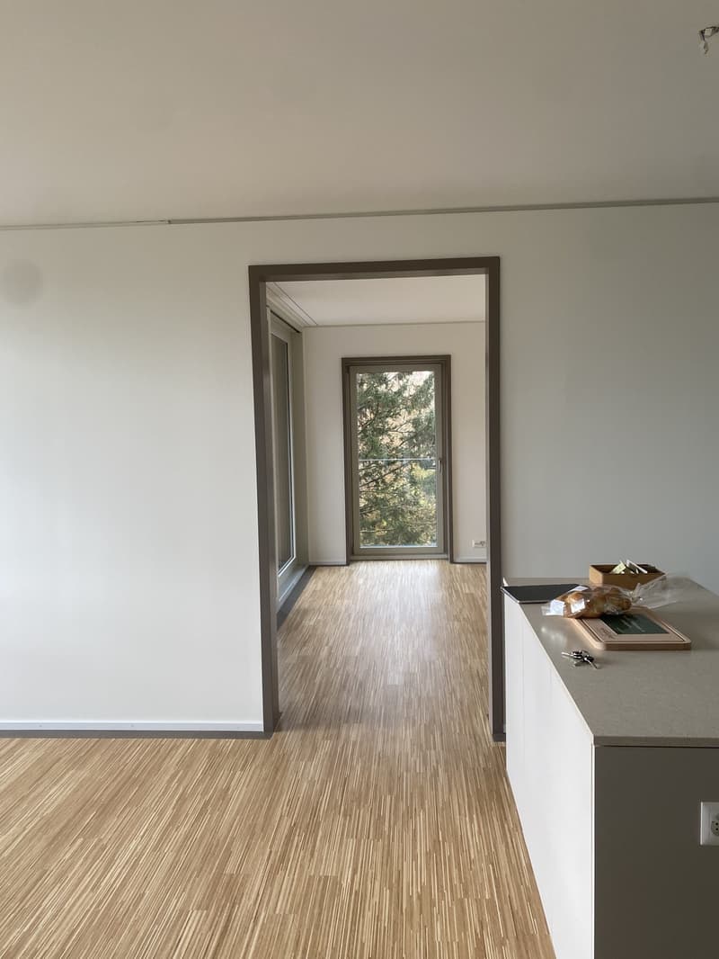 Recherche de locataire pour notre beau 3.5 pièces (6)