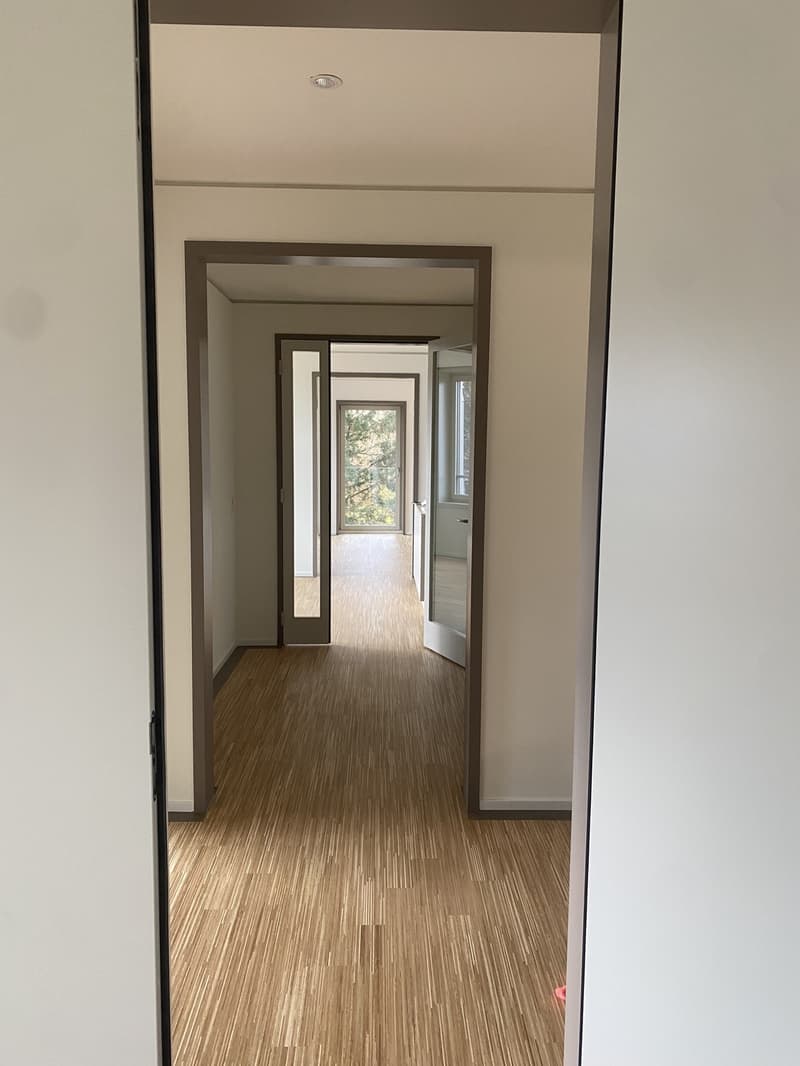Recherche de locataire pour notre beau 3.5 pièces (1)